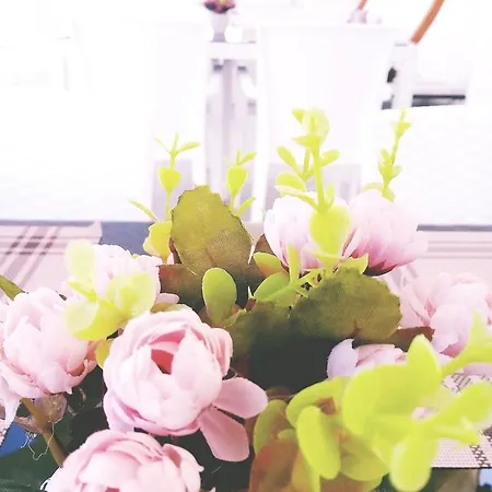 Ege Birlik Boutique * דבוטלאר